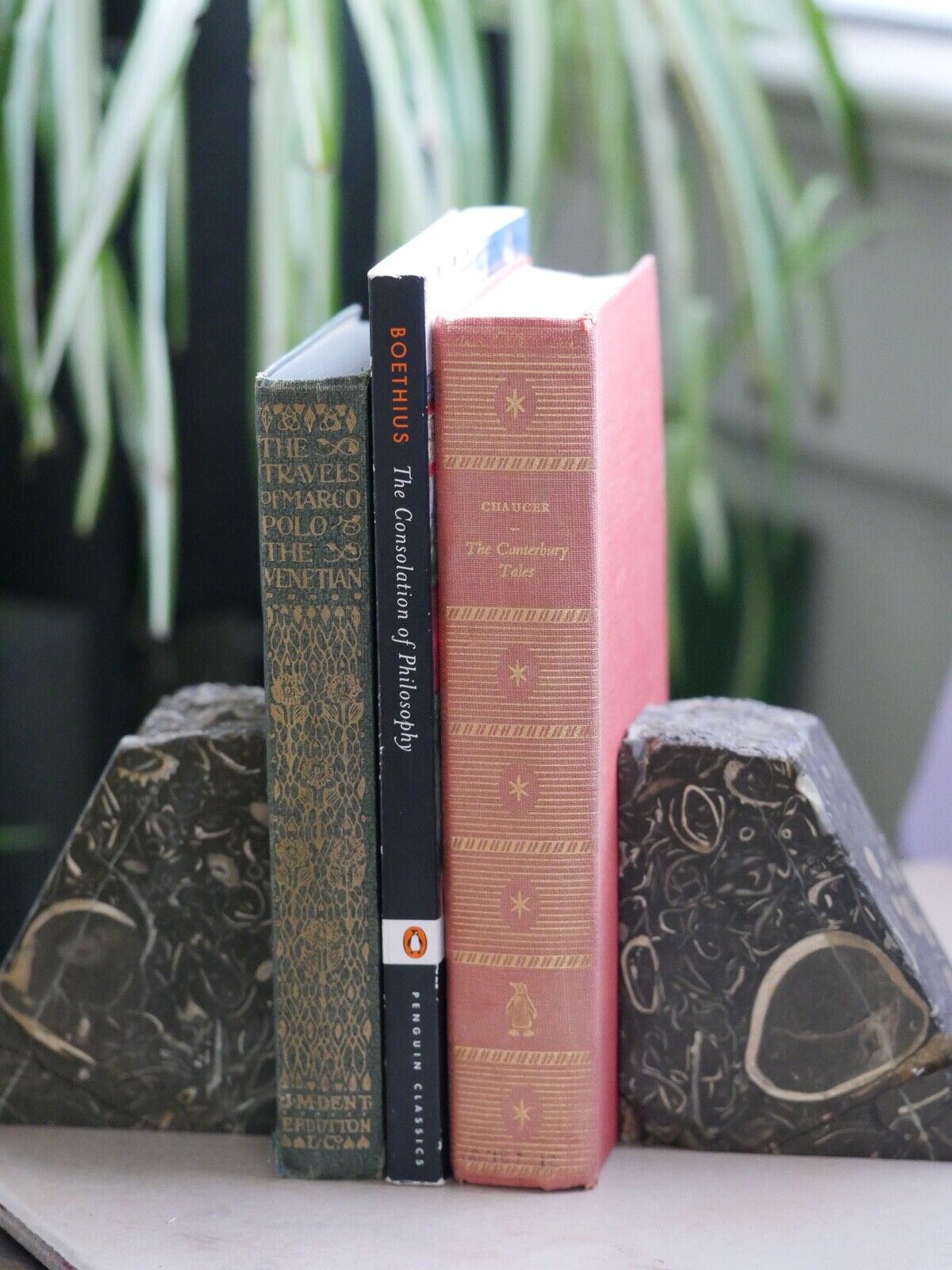 Vintage Fossil Bookends (cracked and repaired)