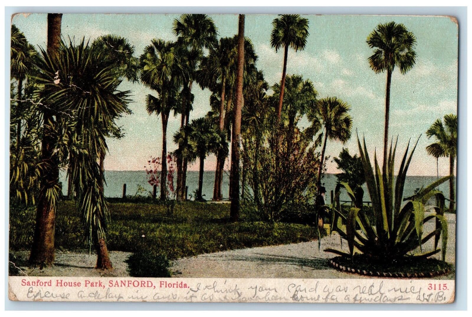 1907 Sanford House Park Palm Trees Sanford Florida FL Posted Vintage Postcard