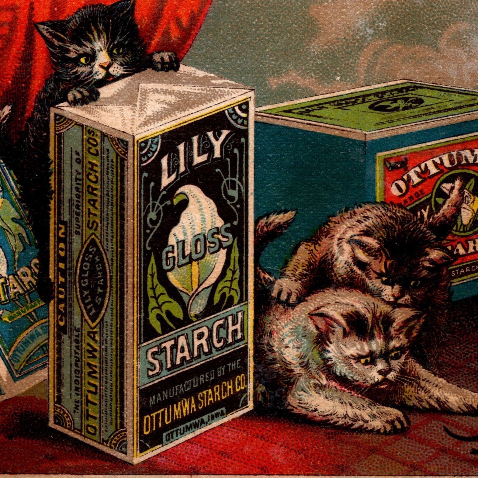 Three Cats Kittens Chasing Mouse Lily Gloss Corn Starch Victorian Trade Card