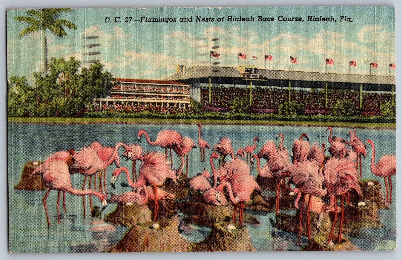 Hialeah, Florida FL - Flamingo & Nest - Hialeah Race Course - Vintage Postcard