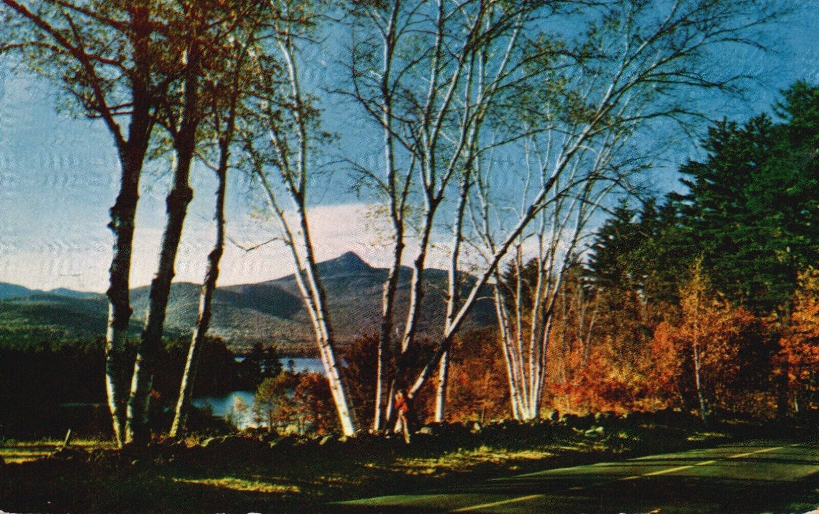 Postcard NH Chocorua Lake & Mountain New Hampshire Chrome Vintage PC G8841