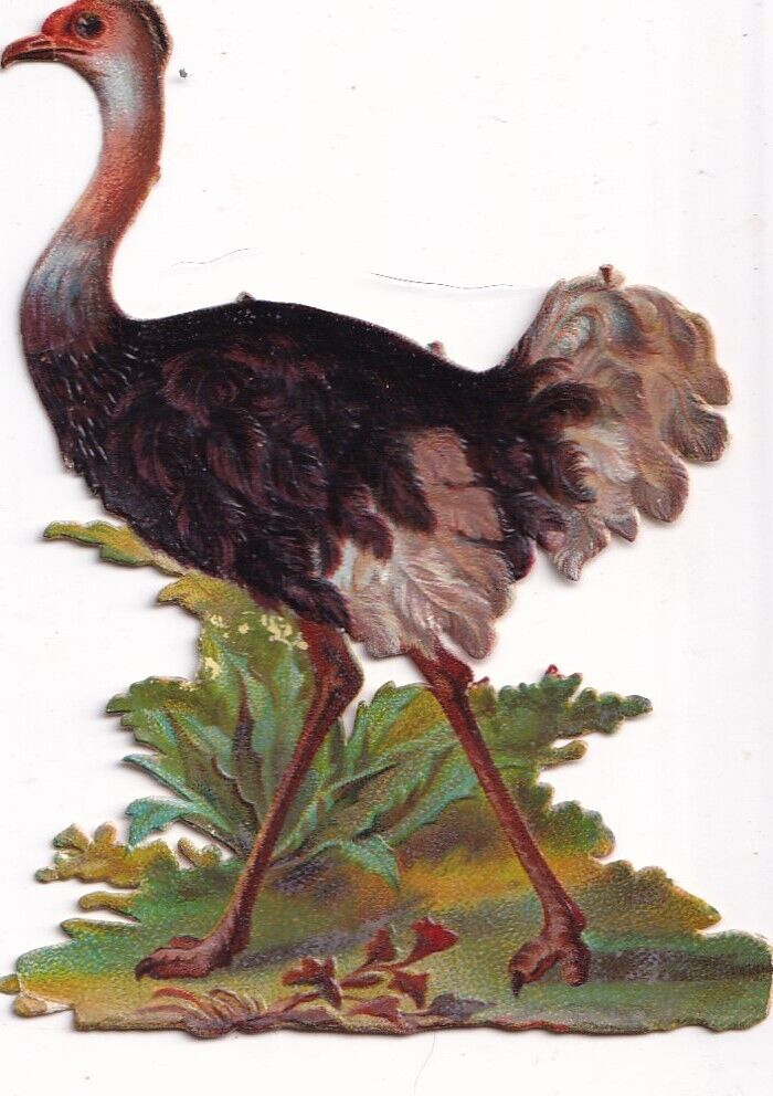 1800\'s Victorian Die Cut Scrap - Ostrich Bird  -3.25 inches