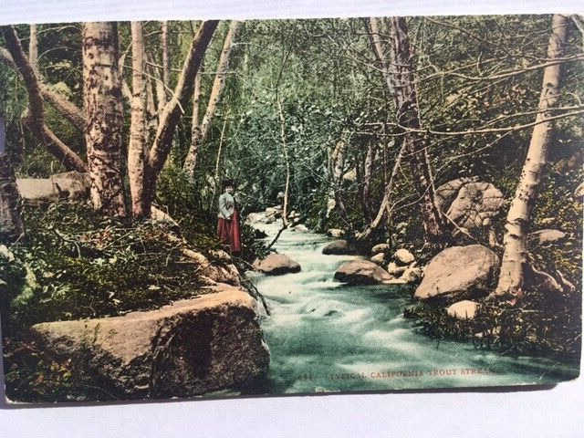 Vintage Postcard-Typical California Trout Stream     1909  # 434