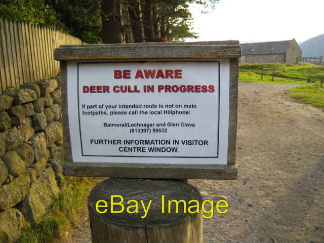 Photo 6x4 Be aware, deer cull in progress Spittal of Glenmuick Sign at th c2007
