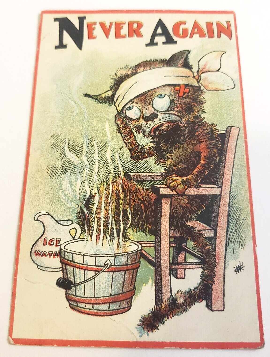 NEVER AGAIN With Black Cat After Fight 1910 ANTIQUE Novelty / Humorous POST CARD