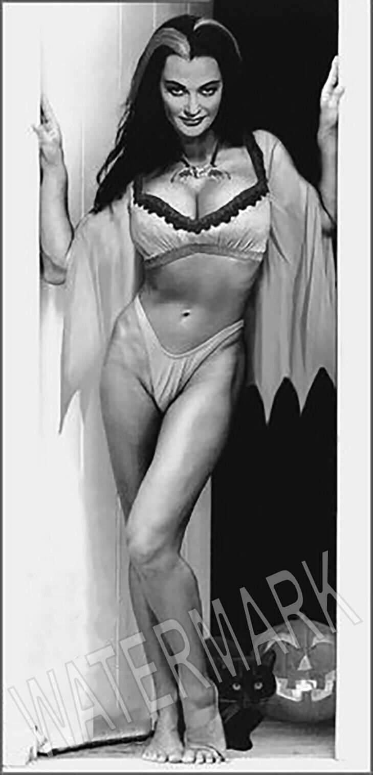 Sexy Lily The Munster Portrait High Quality Metal Magnet 2.5 x 5 Fridge 8886