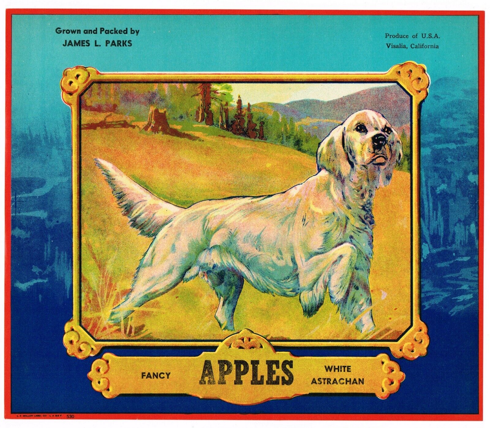 ORIGINAL APPLE CRATE LABEL VINTAGE RETRIEVER DOG VISALIA SCARCE ADVERTISING 1935