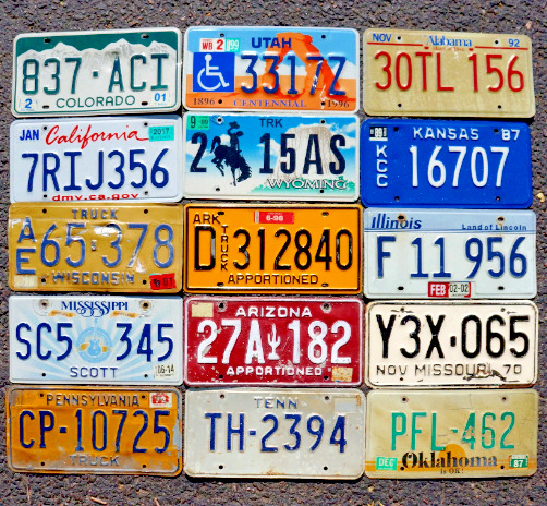 LOT of 15 License Plates 10 States USA License Plate Tag Craft Condition Group