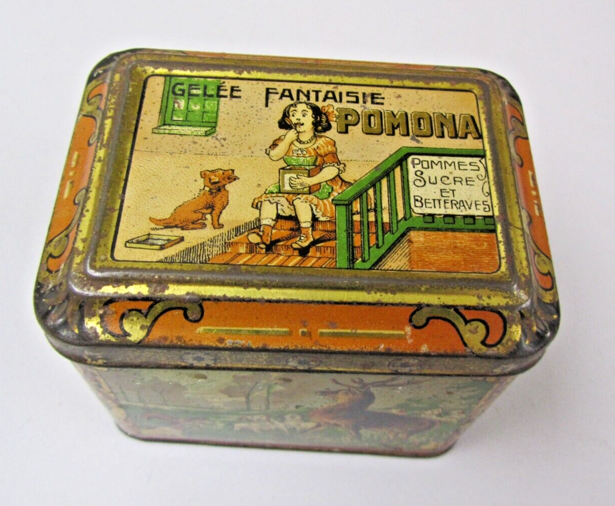 Antique Pomona Fantasy Jelly Tin 5 Dog Scenes Hunting Stag St. Bernard Savior
