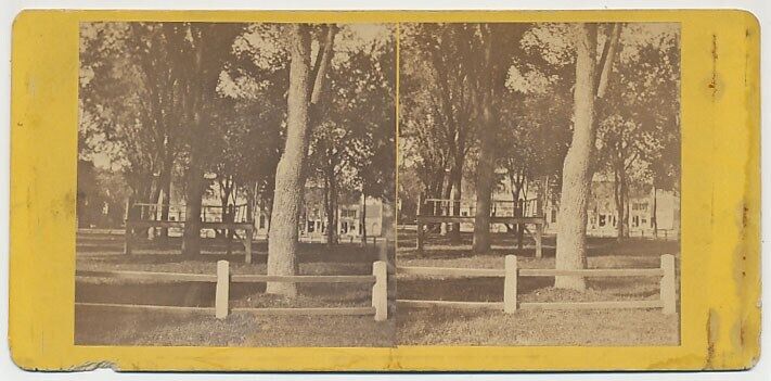MASSACHUSETTS SV - Springfield Park - AE Alden 1860s