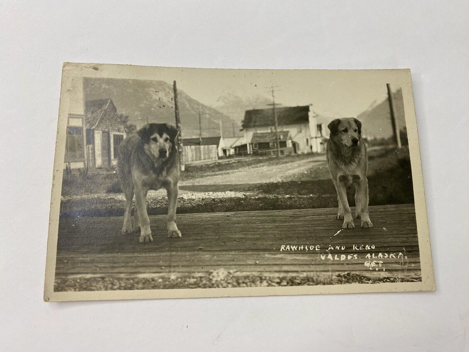 Valdez Alaska RPPC Postcard 2 Working Dogs In Town Antique