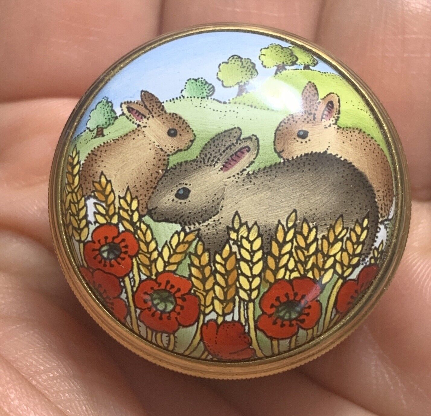 Halcyon Days Pill Box Three Rabbits Bunny in a Wheat Field of Red Poppy Flowers