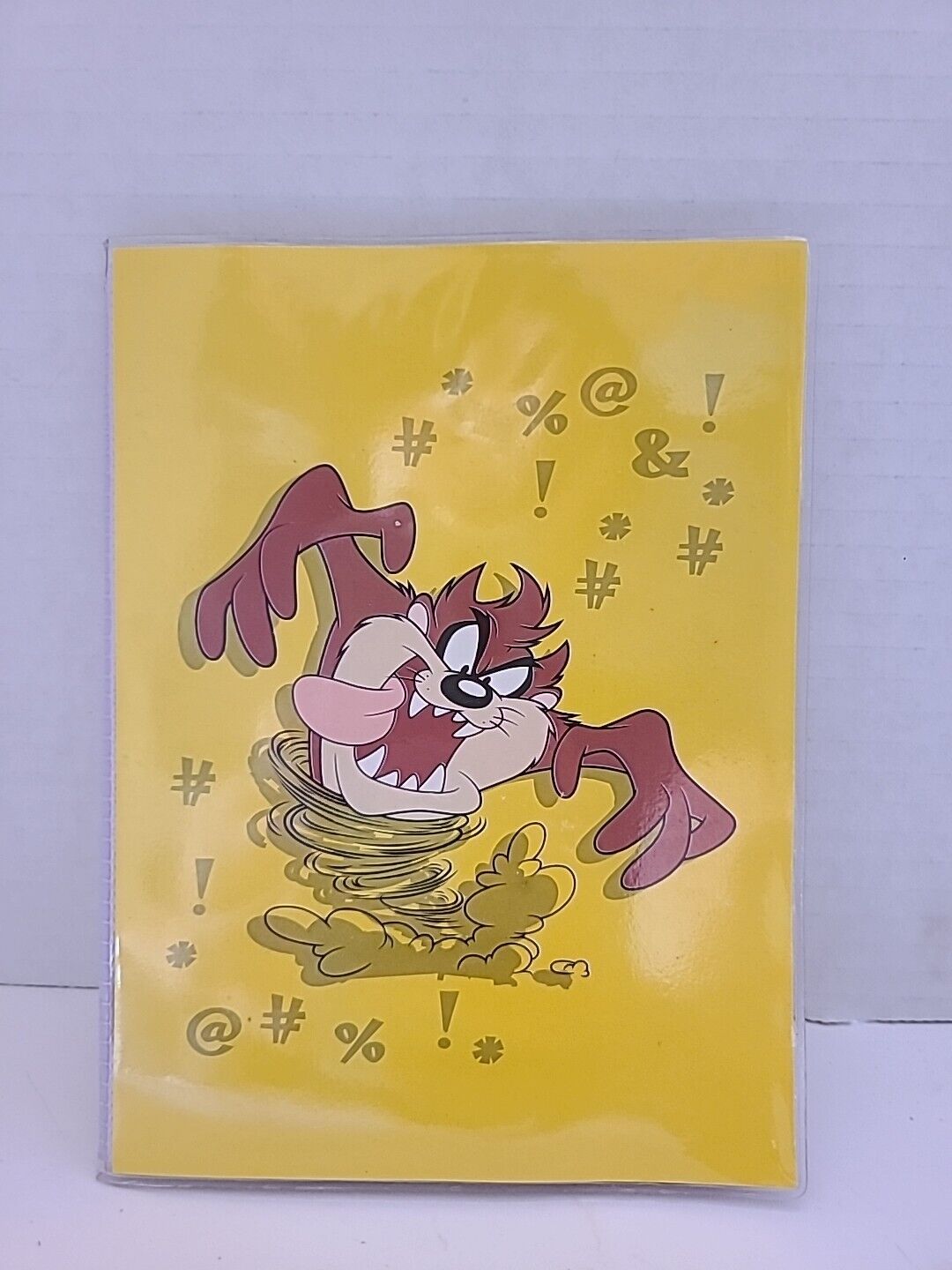 Vintage 1997 Looney Tunes Taz Photo Album