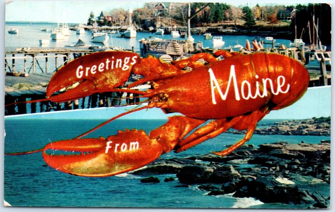 Postcard Greetings from Maine USA North America