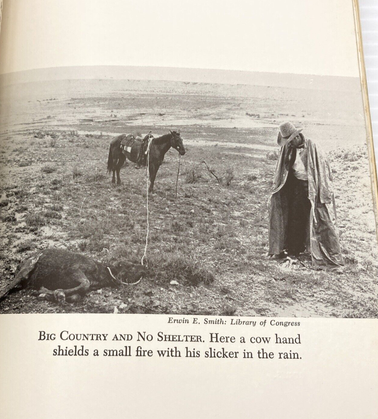 The American Cowboy The Myth & The Reality 1955 1st Ed Oklahoma University Press
