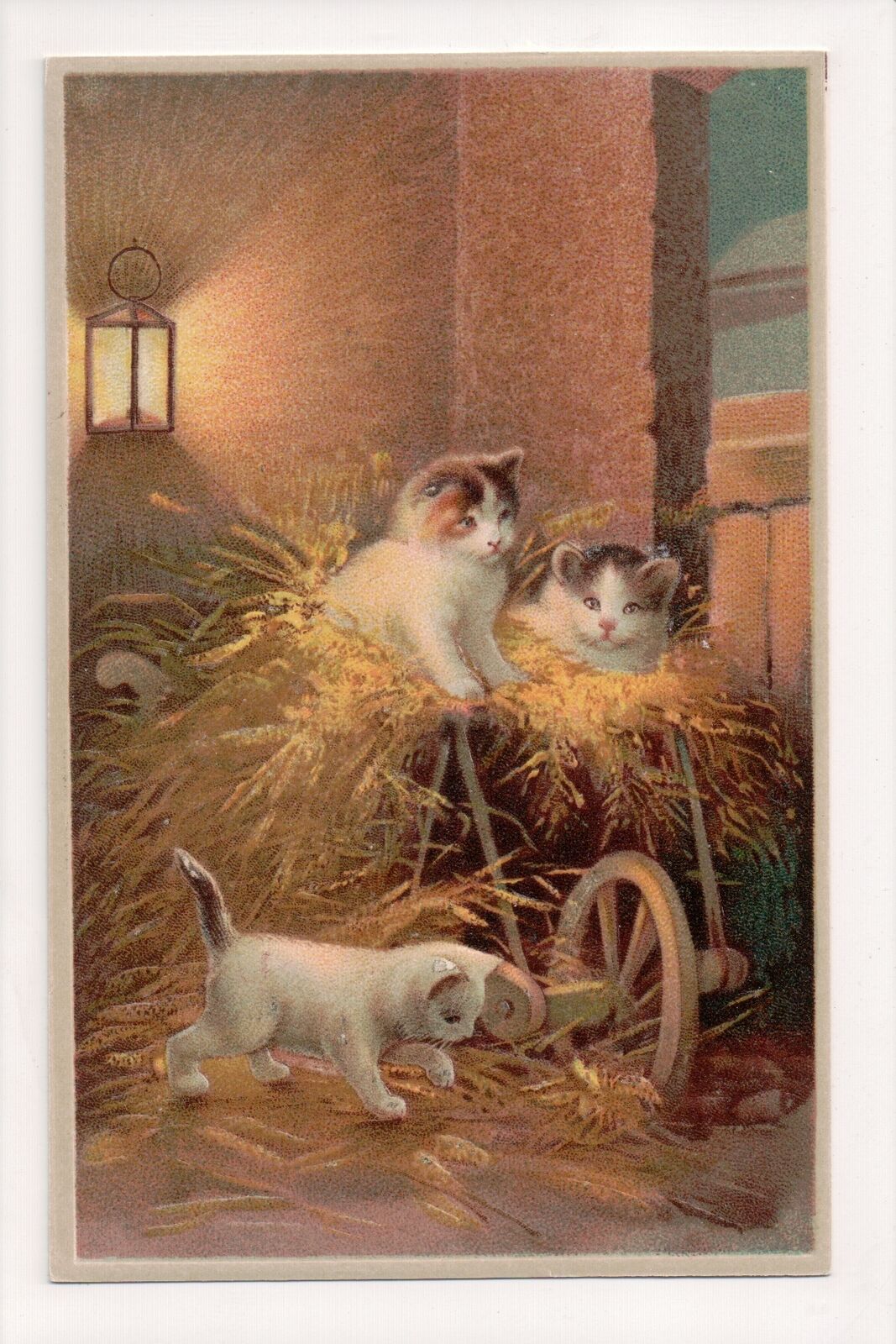 K-325 Adorable Little Kittens Playing in Hay Early German Embossed Postcard