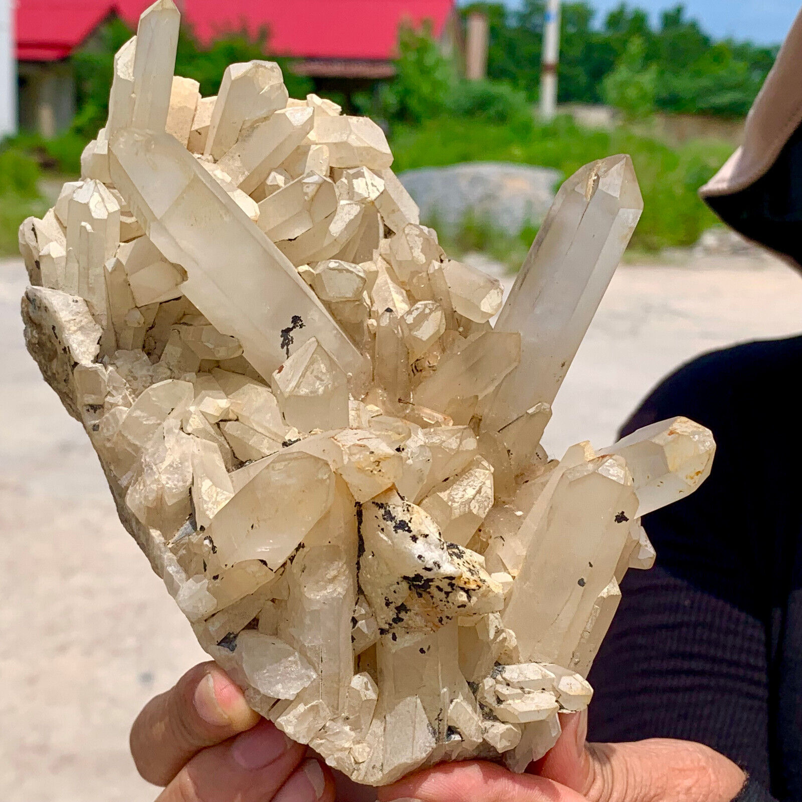 1.64LB Natural Beautiful white Quartz Crystal Cluster Mineral Specimen