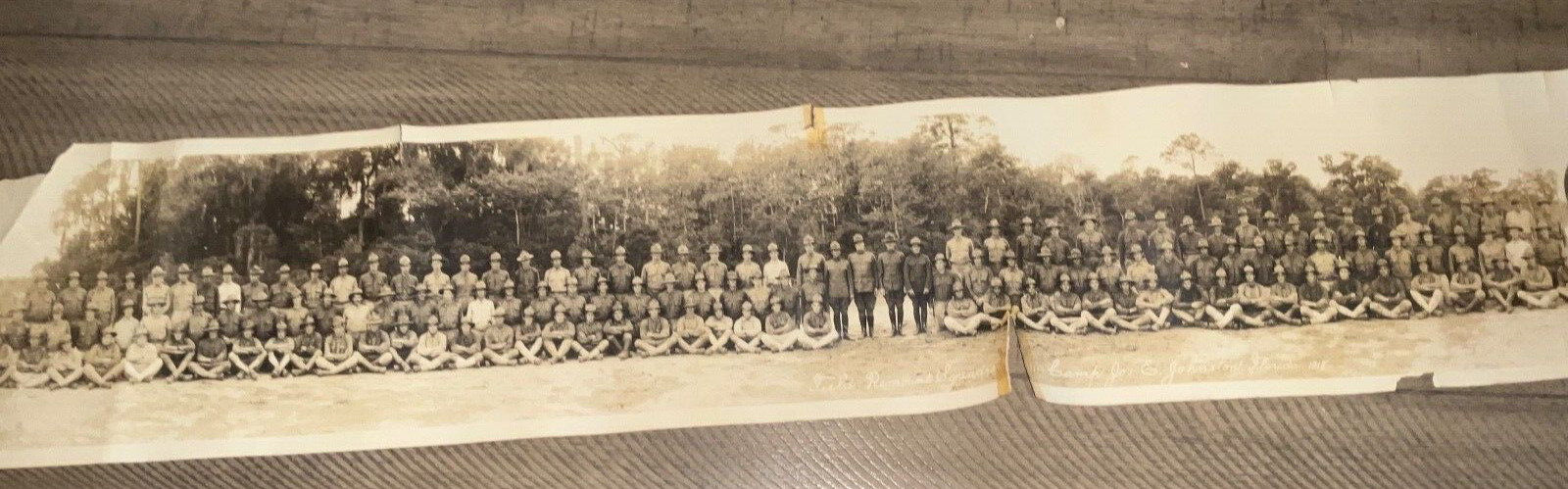 Antique WWI 1918 US ARMY Field Remount Squadront 331, Camp Joseph Johnston, FL