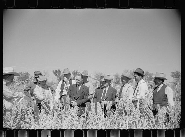 Farmers Field Day,US Dry Land Experiment Station,Akron,Colorado,CO,Rothstein,7