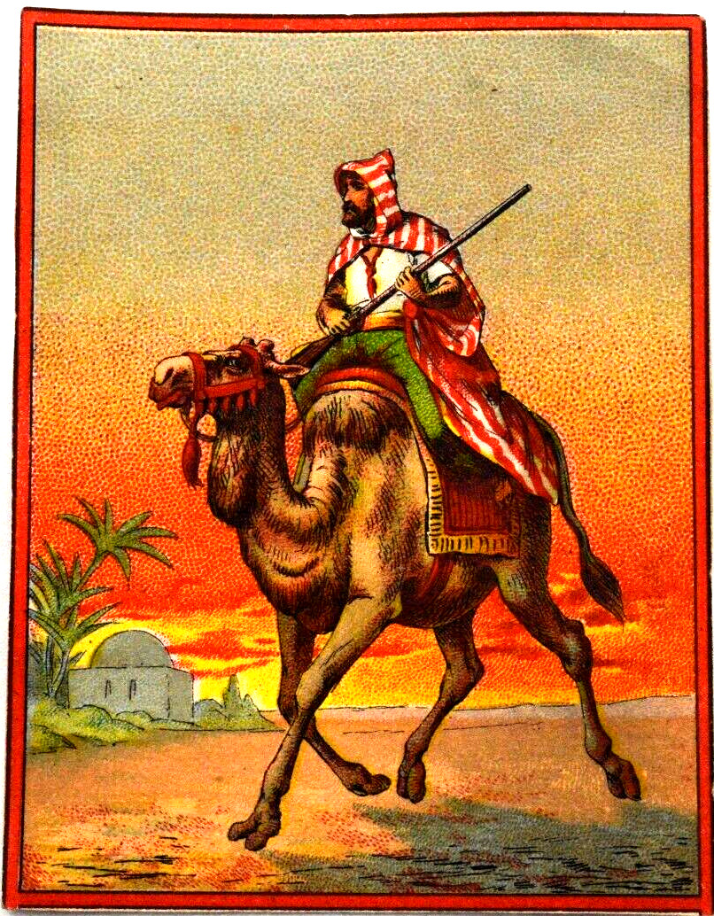 Great 19th Century Image of Soldier on Camel  w Court info Victorian  Card