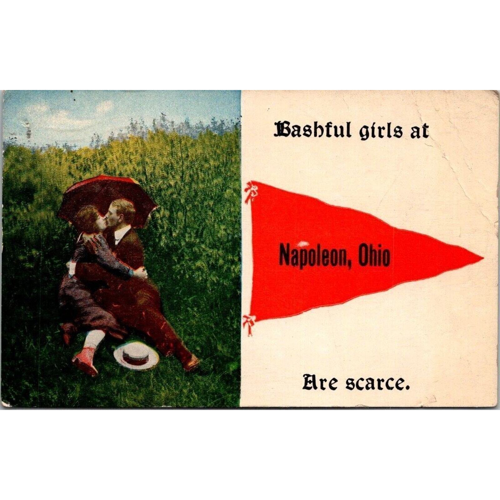 Vintage Napoleon Ohio Postcard Bashful Girls Are Scarce Postmark 1916