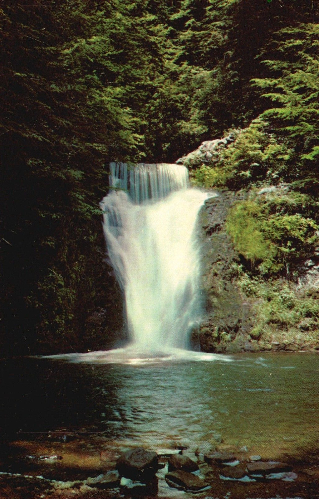 Postcard PA Buck Hill Falls Lower Falls at The Inn Chrome Vintage PC f6603