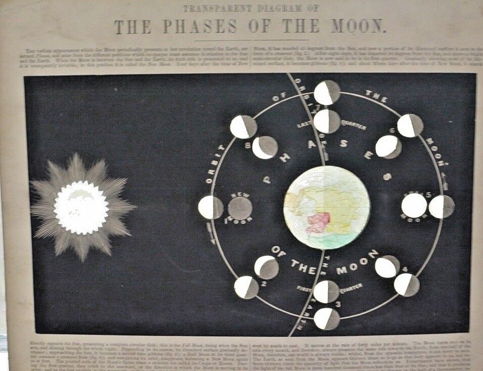 ** RARE ** Astronomical Chart Phases of the Moon James Reynolds Circa 1848 