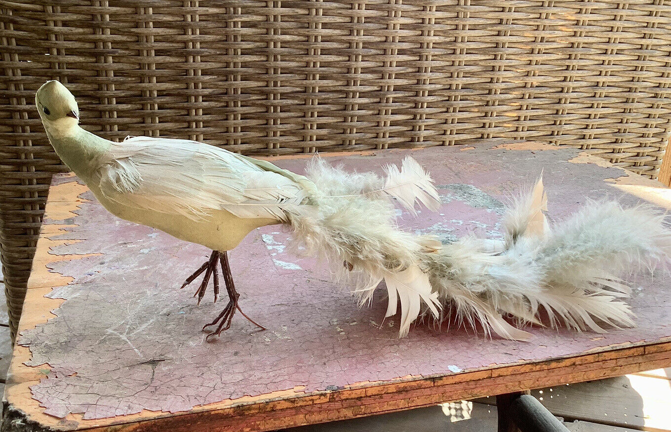Vintage Faux Peahen Bird with Real Feathers 15” Long