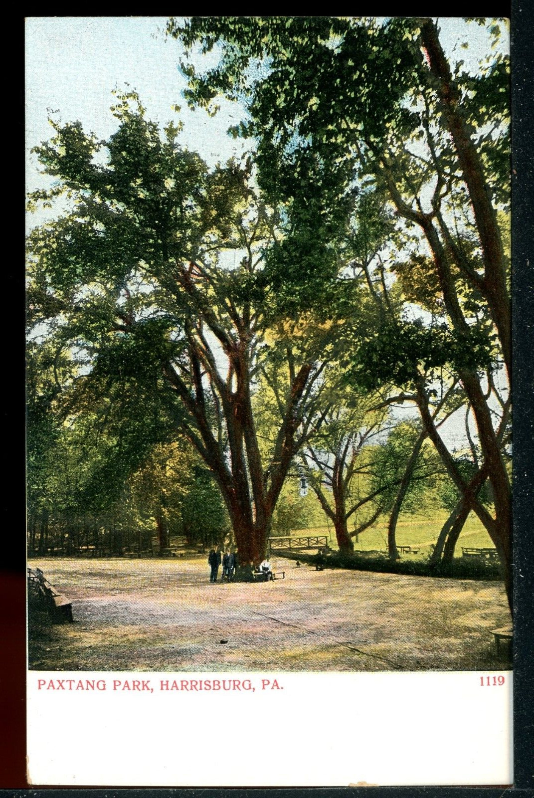 Paxtang Park Harrisburg Pennsylvania Historic Vintage Postcard Besselman C002