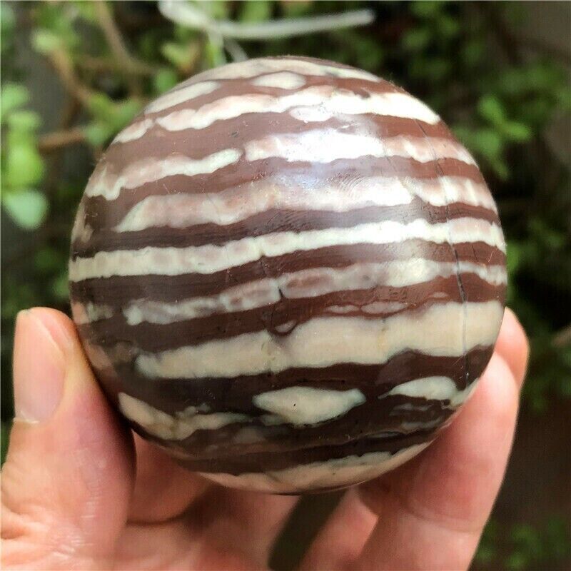 355g Natural Zebra Stone Jasper polishing ball healing #A12