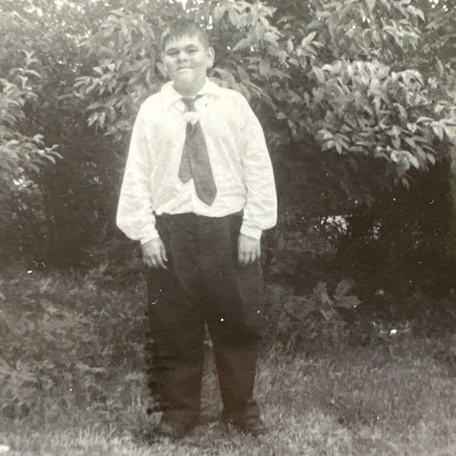 VINTAGE PHOTO cute chubby boy in oversized tie, flower Original Snapshot