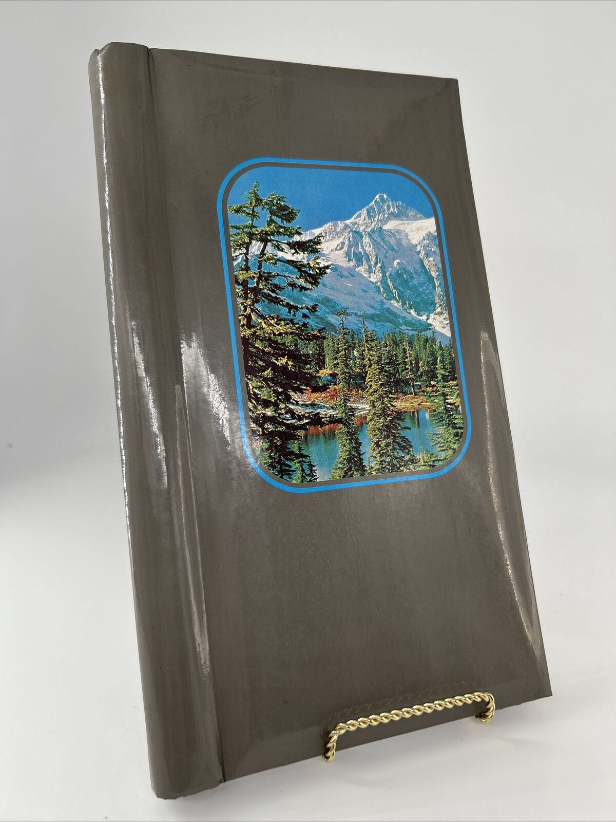 Vintage 80s Photo Album Binder Empty With Mountain Forest Design Front And Back