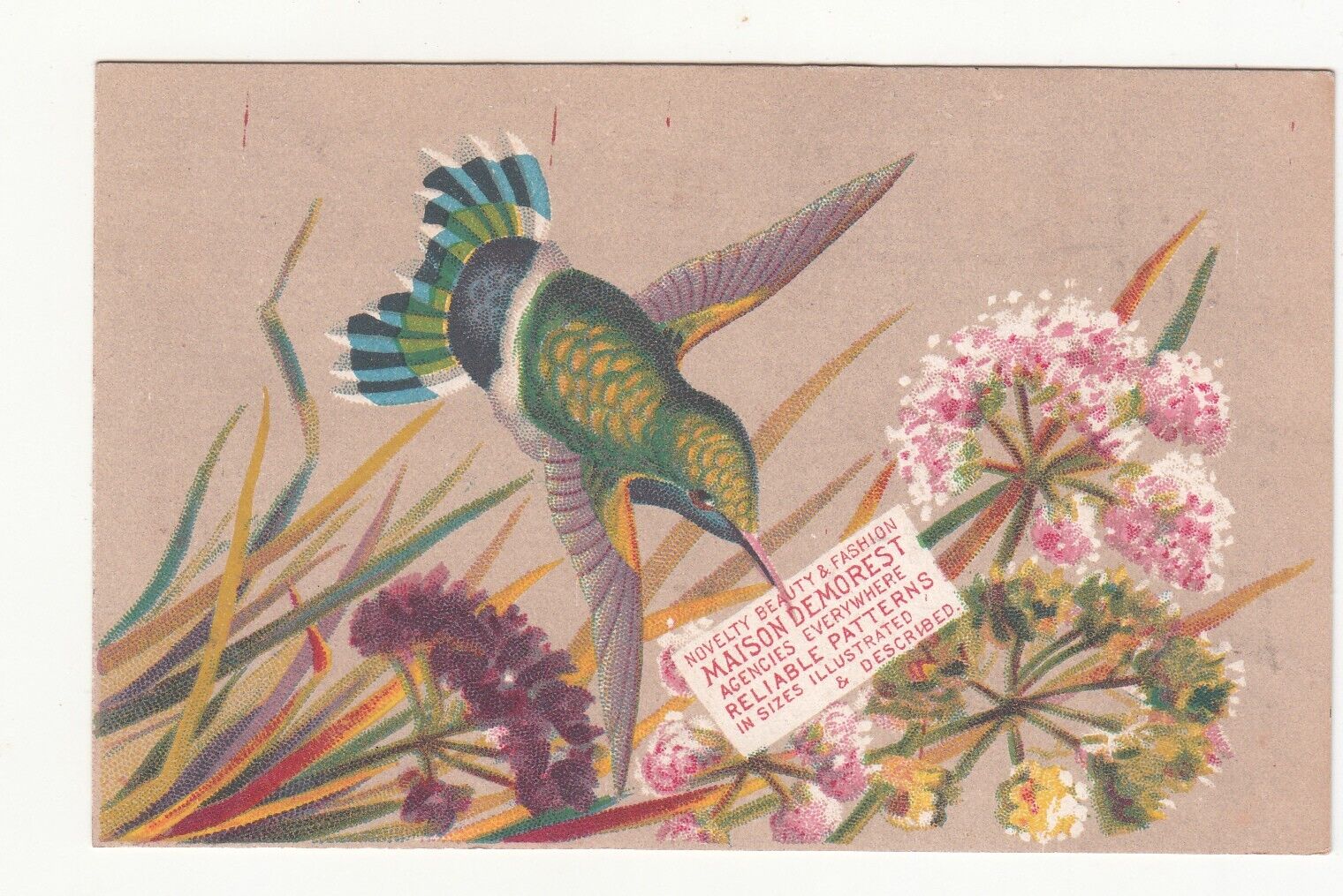 Maison Demorest Reliable Patterns Hummingbird Flowers Vict Card c1880s