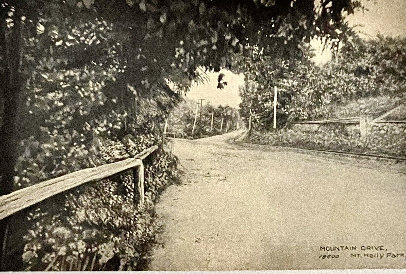 Pennsylvania,Mountain Drive,18600 Mt Holly Park, Antique Postcard RPPC Real Foto