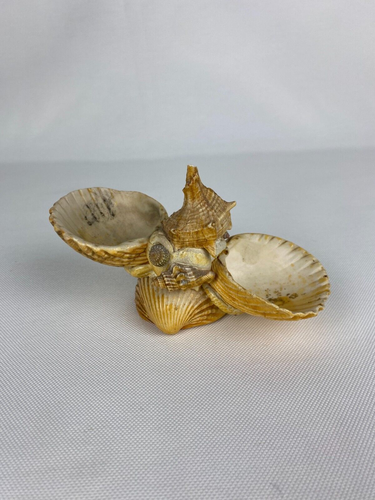 Pretty Little Vintage Shell Salt/Pepper, Sea Decoration Object