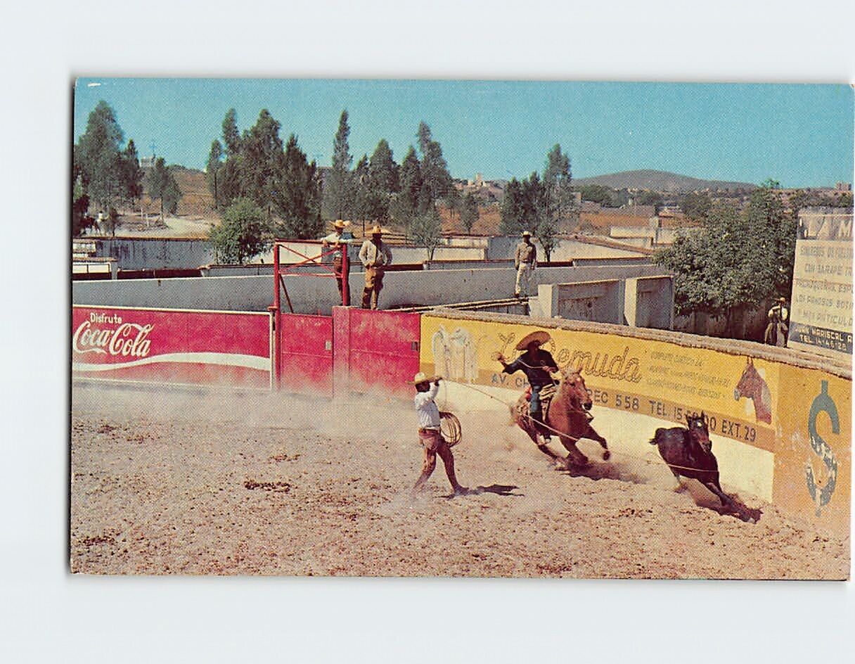 Postcard Typical Mexican Scene Mexico