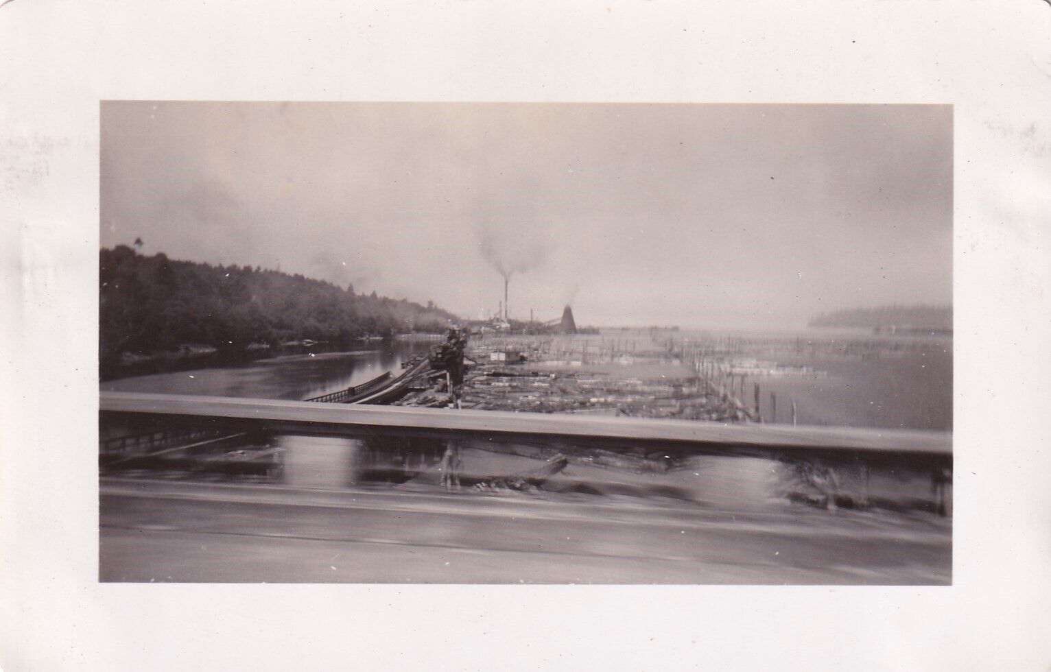 Original WWII Snapshot Photo SAWMILL & LOGS at OLYMPIA 1941 Washington 741