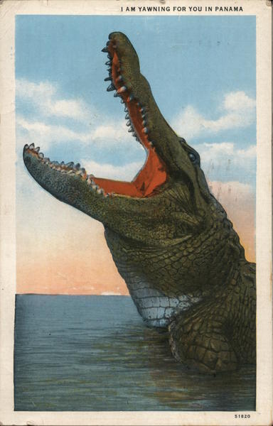 1940 I am Yawning for You in Panama-Alligator I.L. Maduro Jr. Postcard 1c stamp