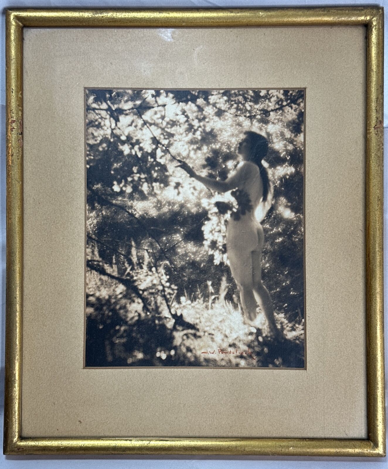 J.W. PONDELICEK Signed Girl in Forest Circa 1920s Framed Sepia Photo Pinup