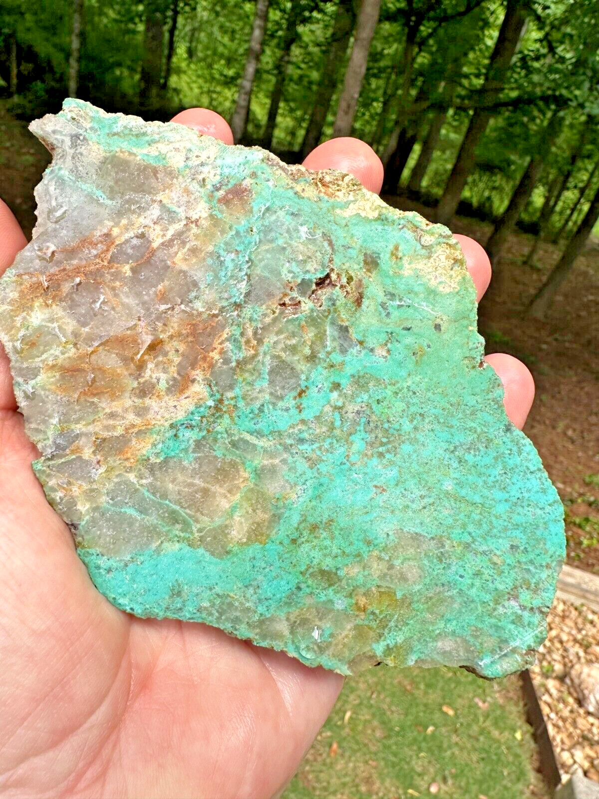 Turquoise SPECIMEN in matrix - almost 2 lb
