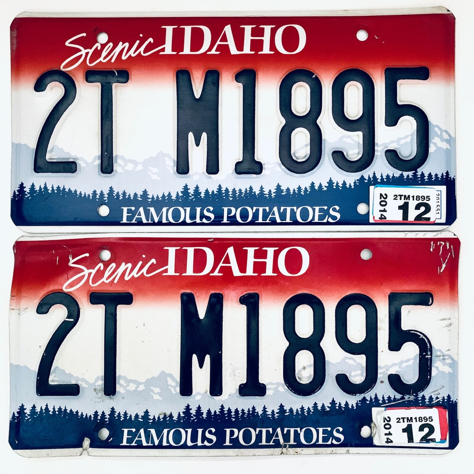 2014 United States Idaho Twin Falls Passenger License Plate 2T M1895