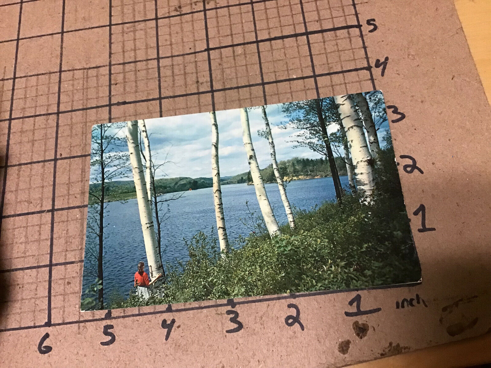 Vintage Original Post Card: Wilder Lake on Connecticut River New Hampshire