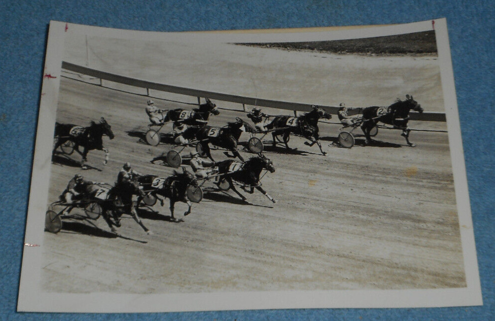 1974 Harness Racing Photo Horse \