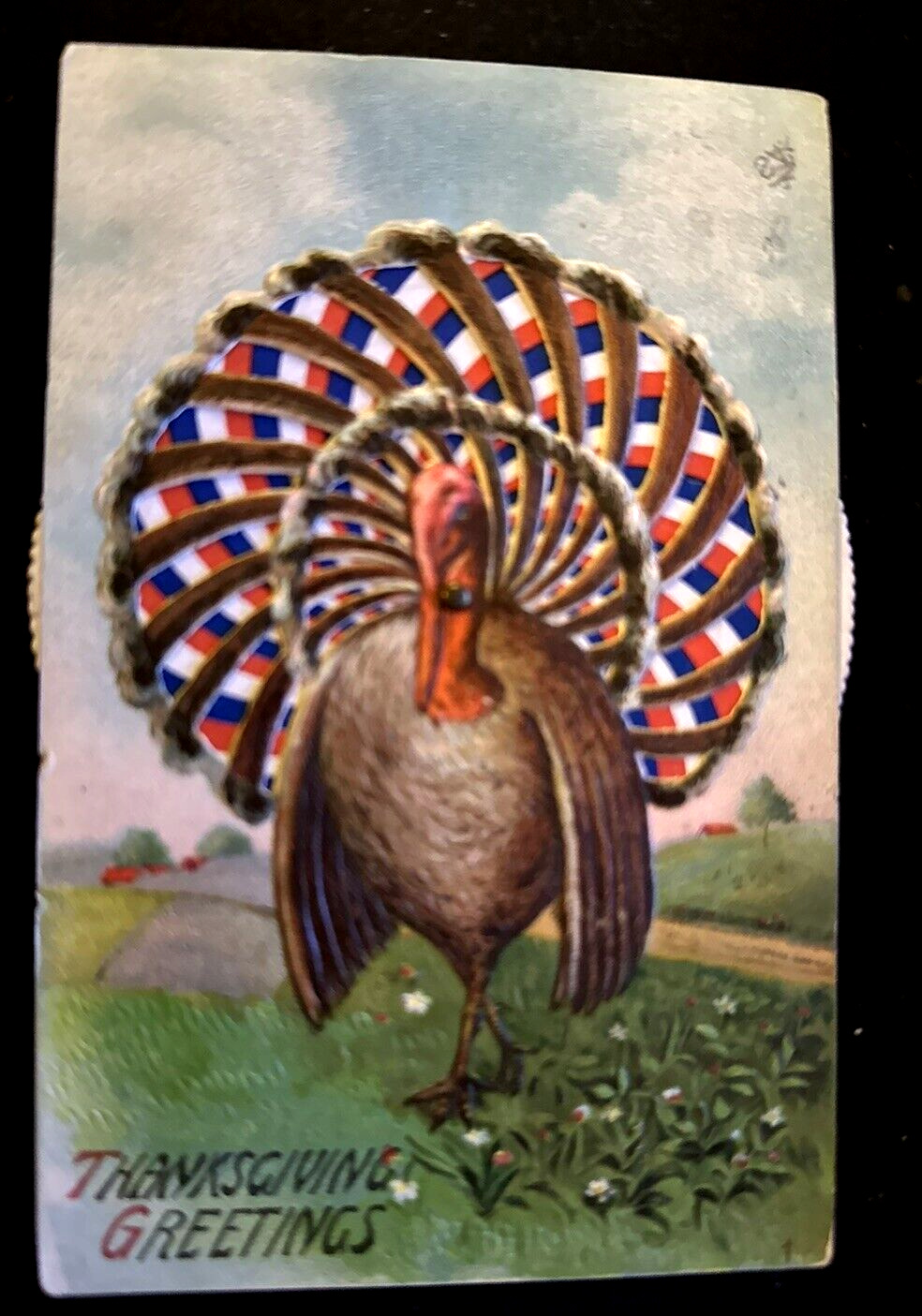 Kaleidoscope Mechanical  Turkey Thanksgiving Embossed Novelty Postcard-h831