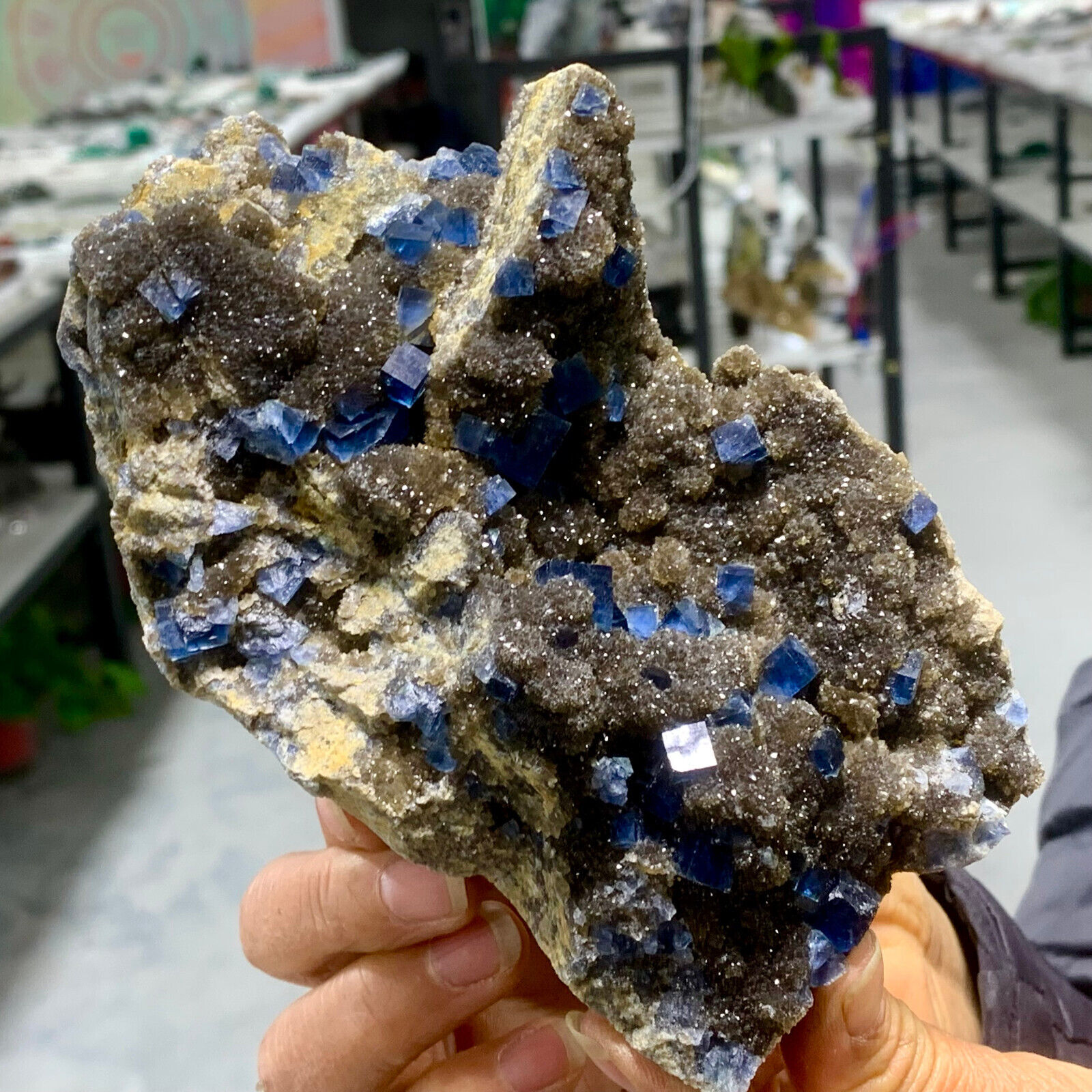 1.53LB Rare Natural blue cubic fluorite mineral crystal sample/China