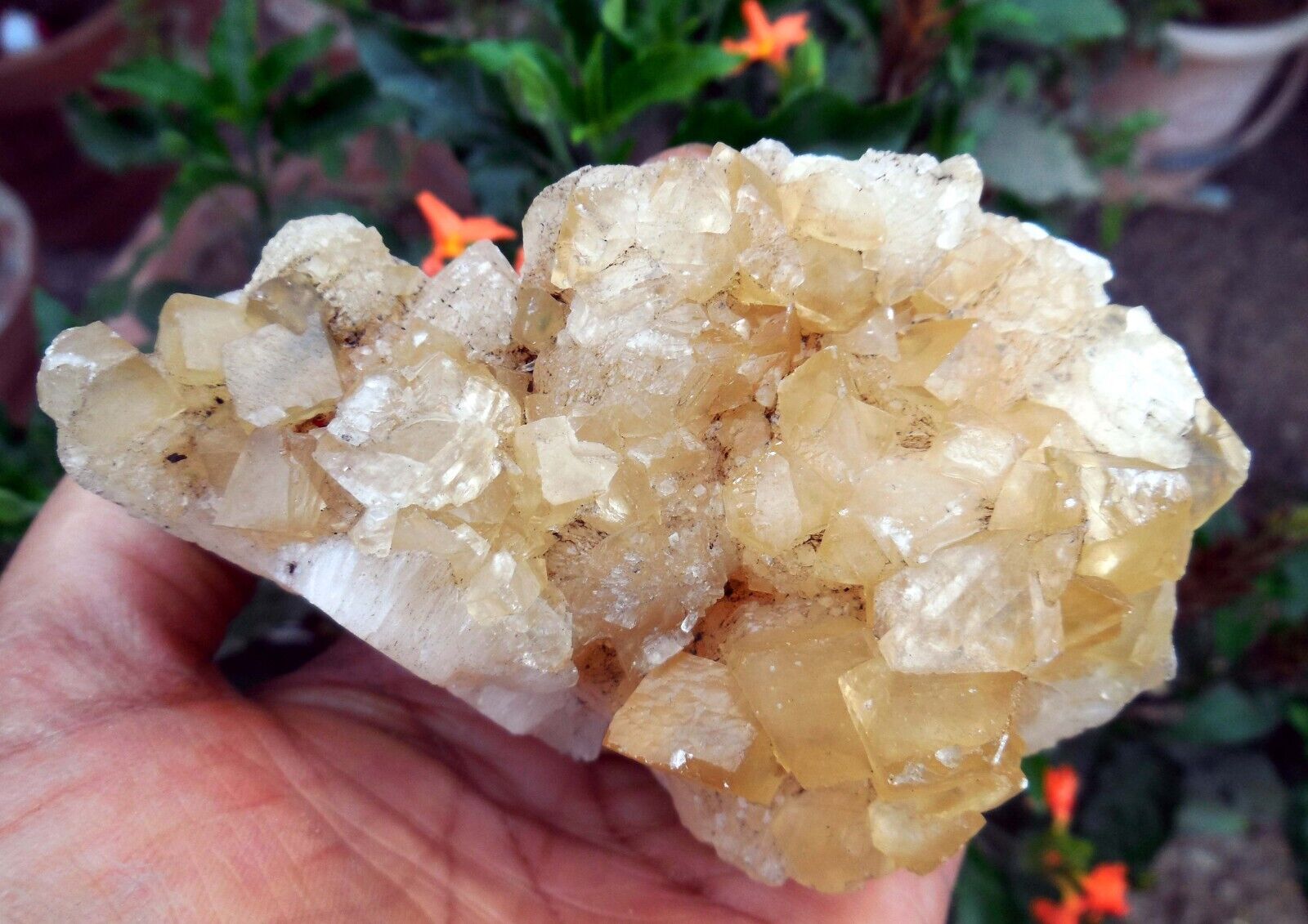CALCITE Crystals On STILBITE Base Minerals M-5.24
