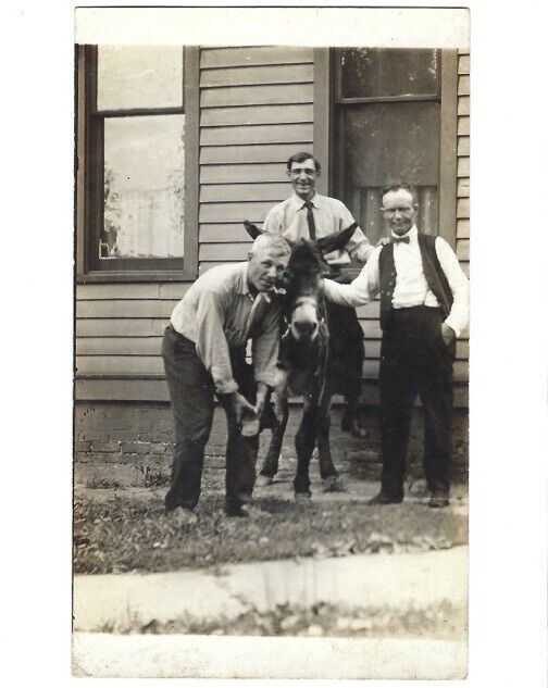 c1900s Three Elder Men Riding Mule Donkey Funny RPPC Real Photo Postcard
