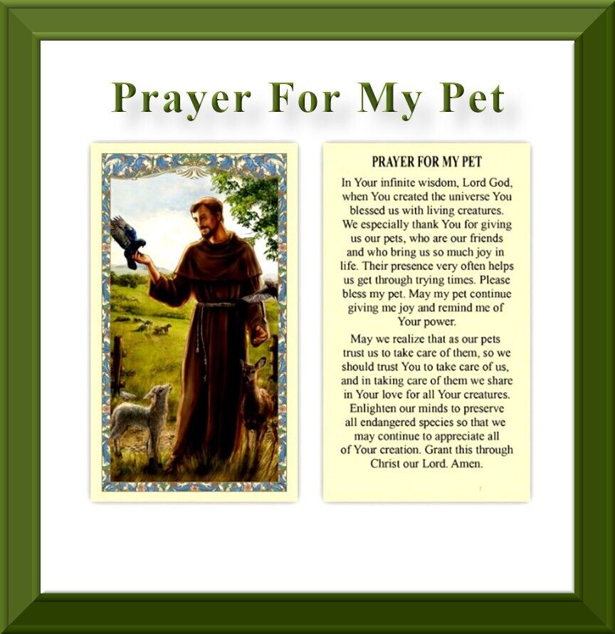 Prayer for My Pet  Blessing Prayer for Your  Furry Faithful Friends Holy Card