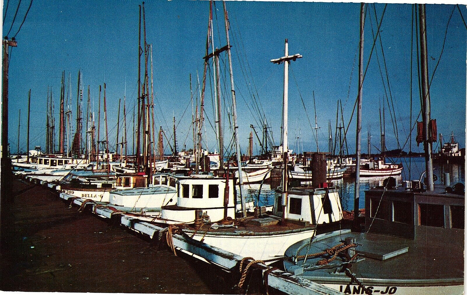 Boat Basin on Humboldt Bay Eureka CA Unposted Vintage Postcard c1960s