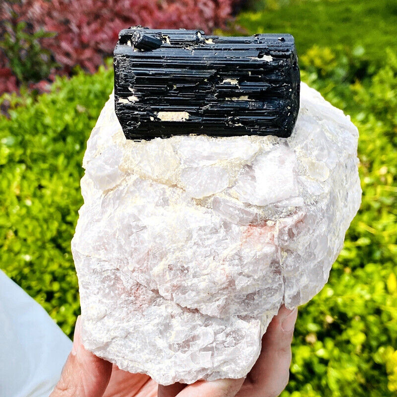 4.12LB Top natural black tourmaline quartz crystal mineral specimen